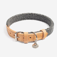 Herdwick Dog Collar