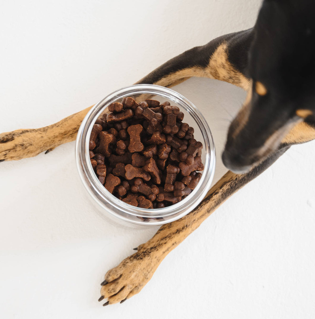 Liver & Blueberry Soft Dog Treats