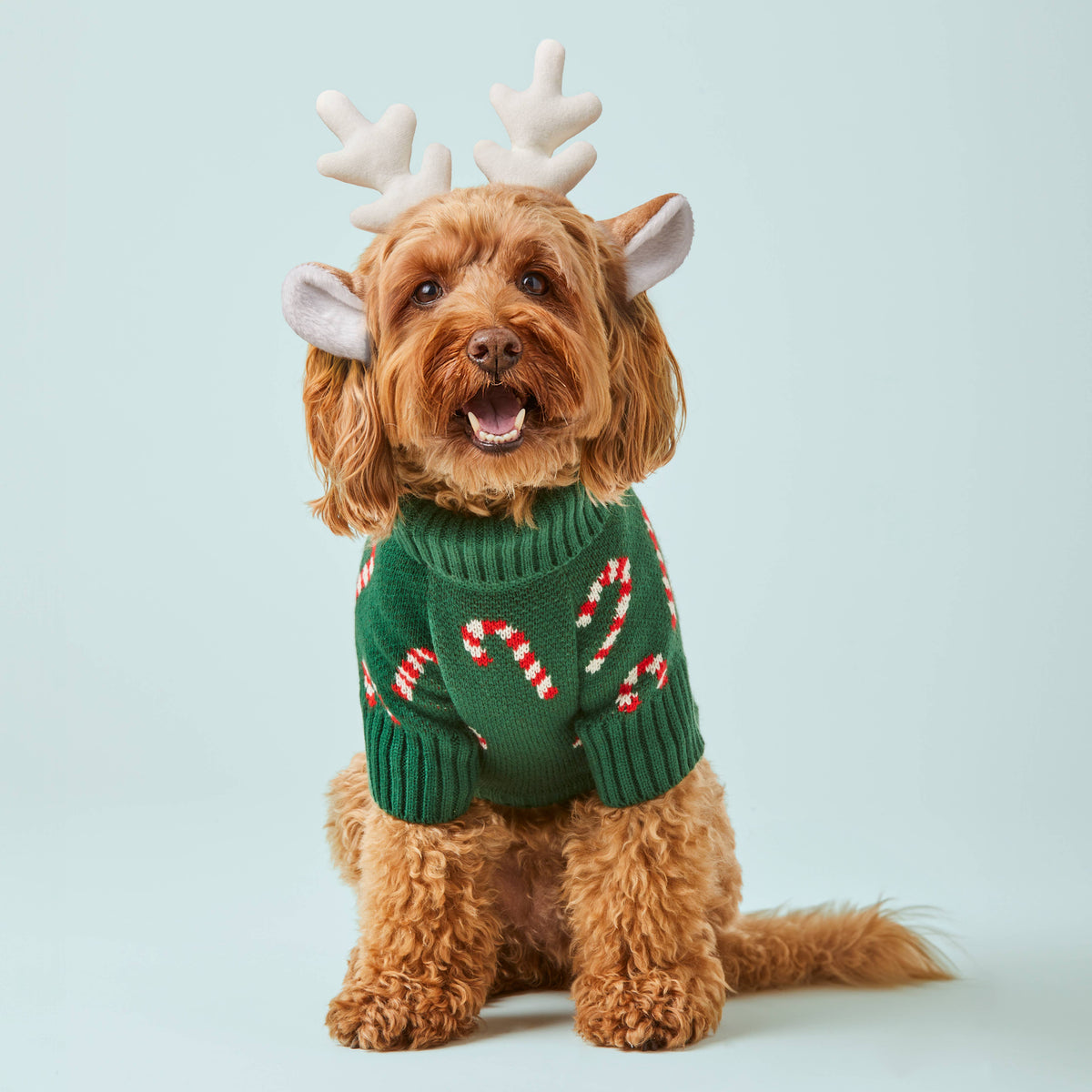 Candy Canes Holiday Dog Sweater