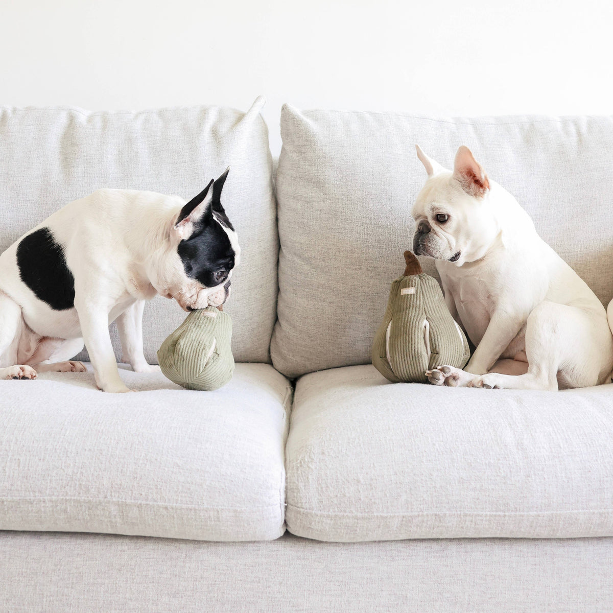 Butternut Dog Toy