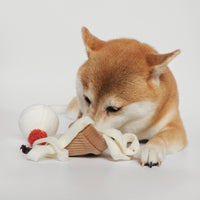 Ice Cream Pop Dog Toy