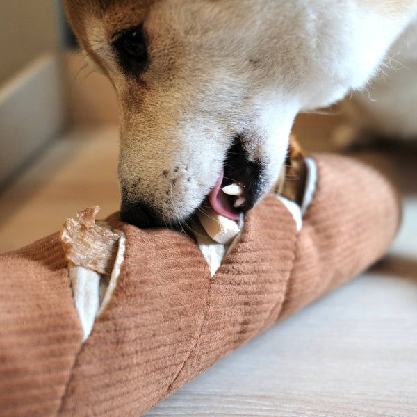 Baguette Dog Toy