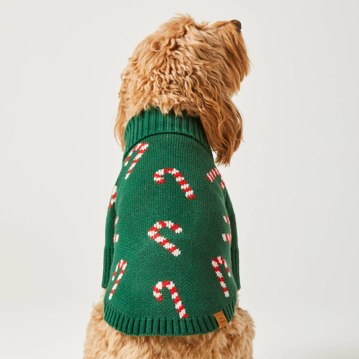 Candy Canes Holiday Dog Sweater