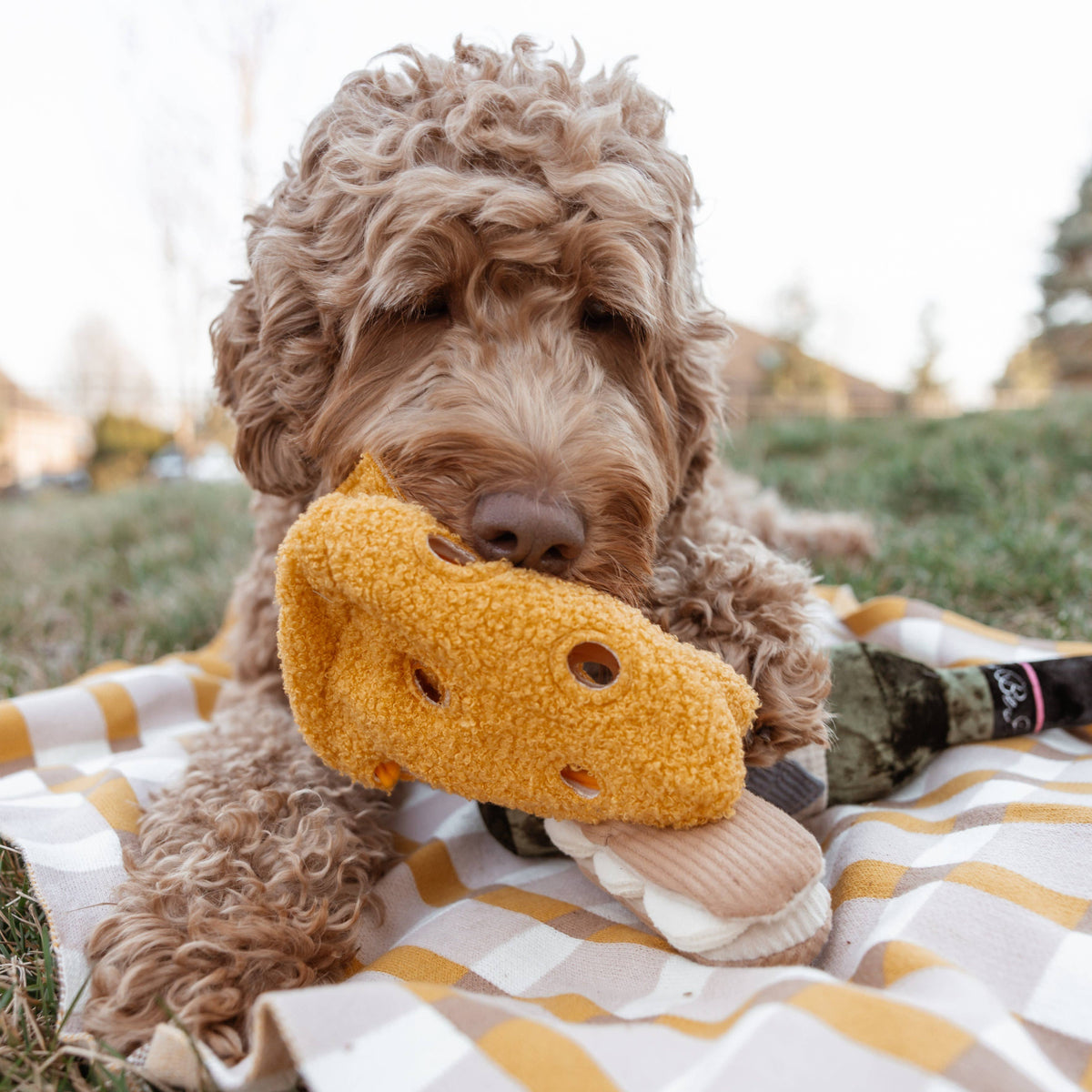 Fromage Dog Toy