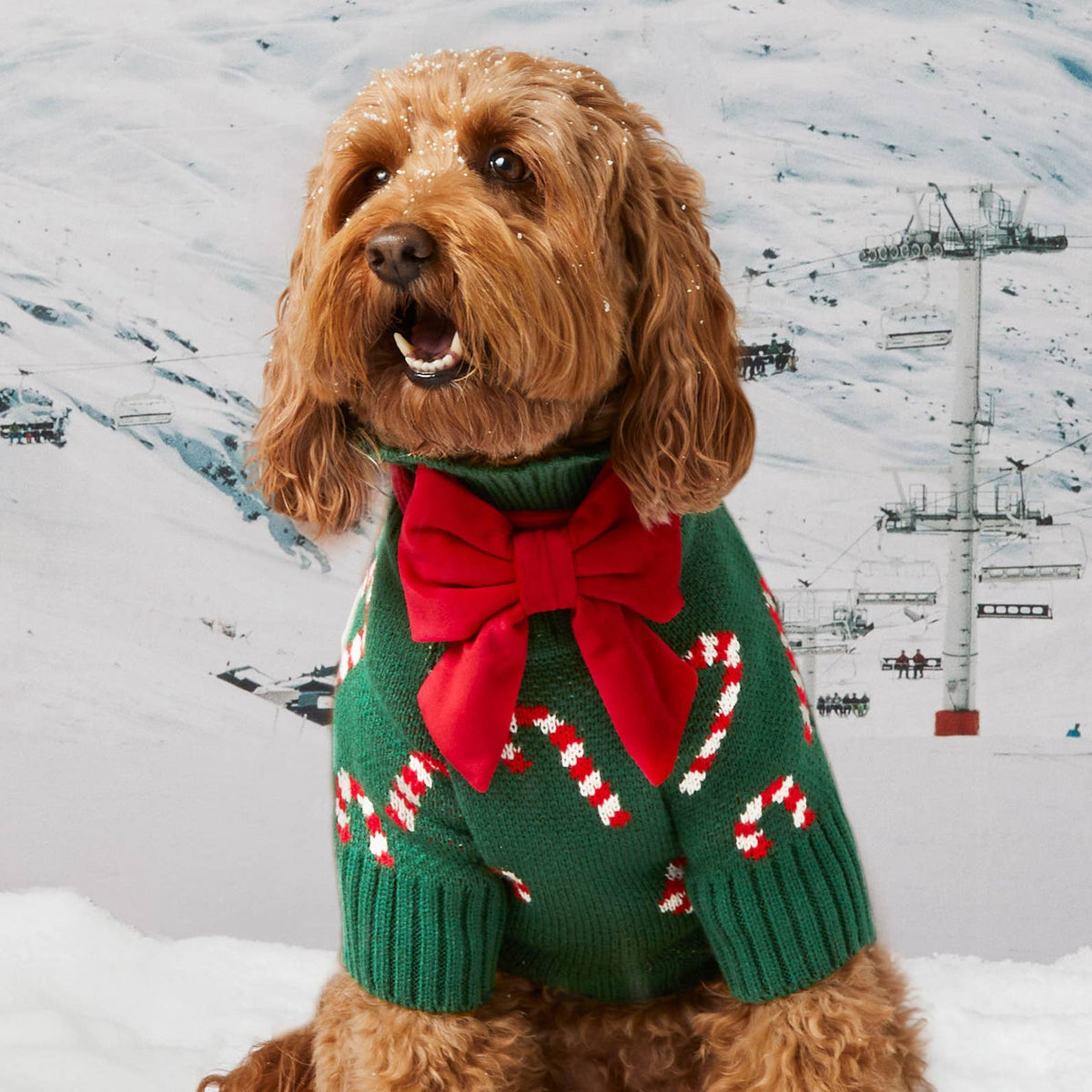 Candy Canes Holiday Dog Sweater