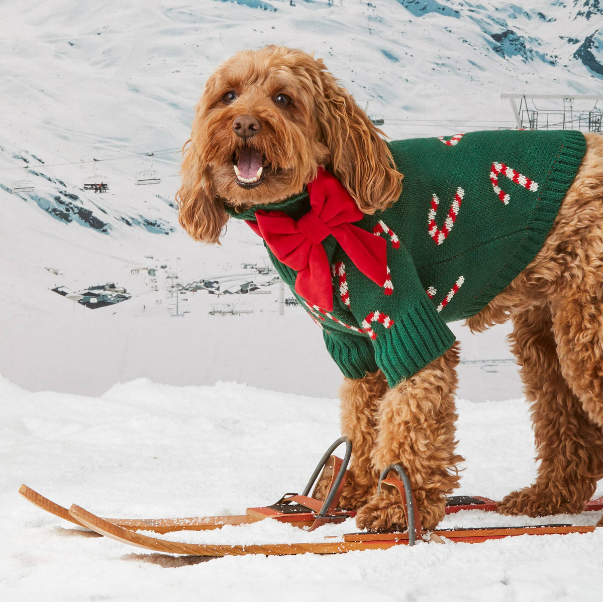 Candy Canes Holiday Dog Sweater