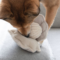 Oyster Pop Dog Toy