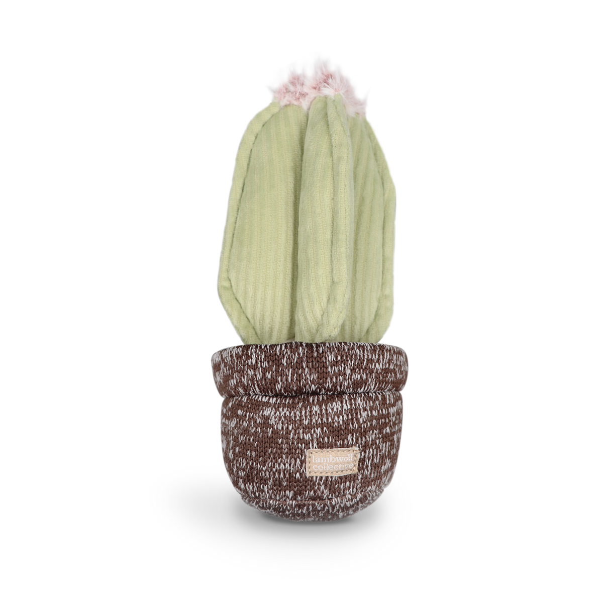 Cactus Dog Toy