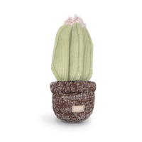 Cactus Dog Toy