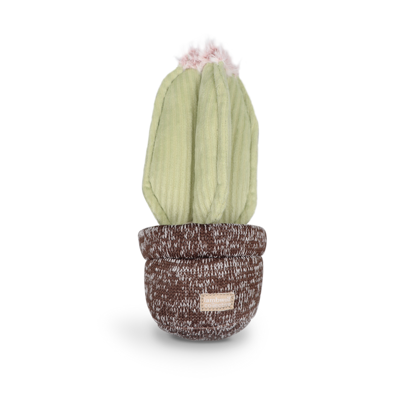 Cactus Dog Toy