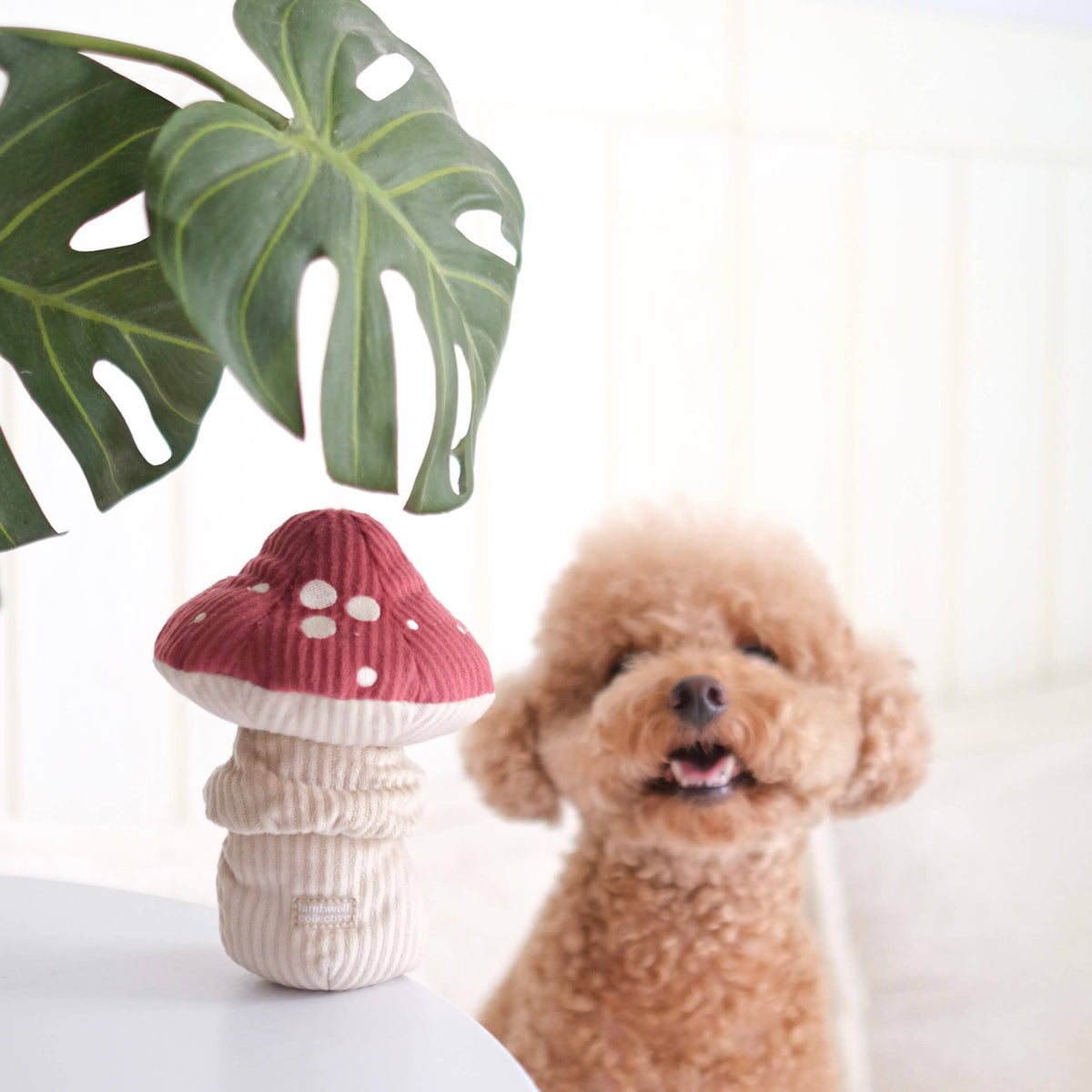 Shroom Dog Toy