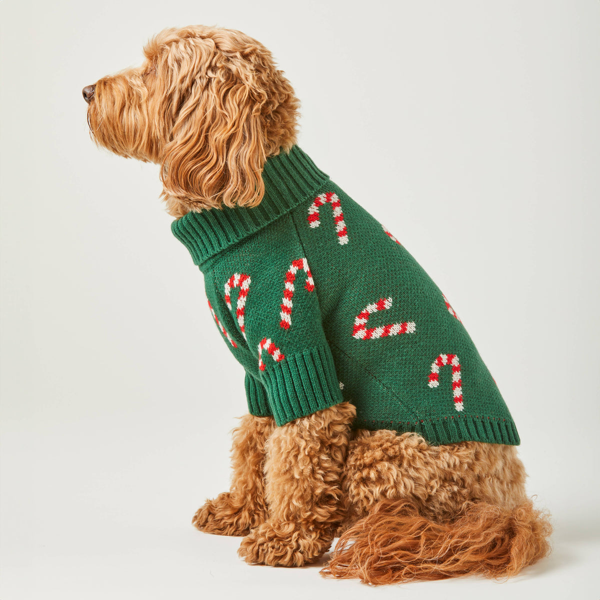 Candy Canes Holiday Dog Sweater