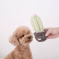 Cactus Dog Toy