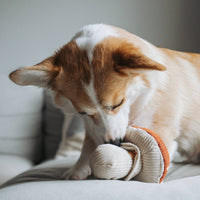 Shroom Dog Toy