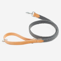 Herdwick Dog Leash