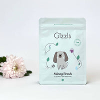 Minty Fresh Dog Treats